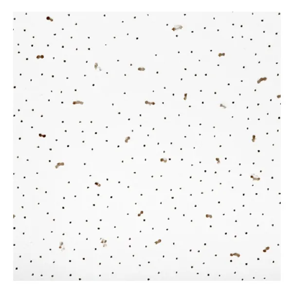 Потолочная плита Ангара  600×600×7 мм — прочная, легкая и простая в установке Потолочная плита Ангара  600×600×7 мм — прочная, легкая и простая в установке